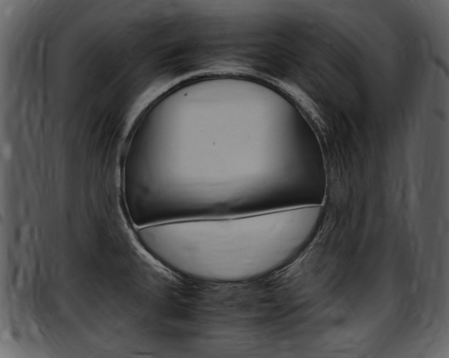X0000097641335200802290813