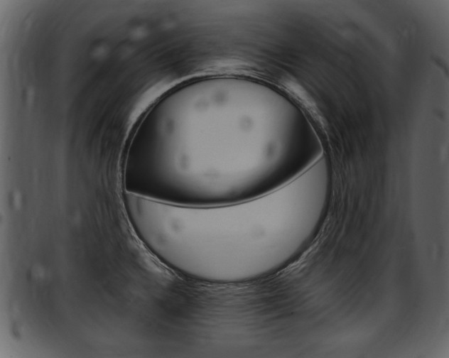X0000097641336200802290813