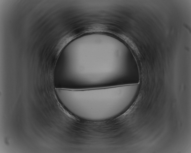 X0000097641337200802290813