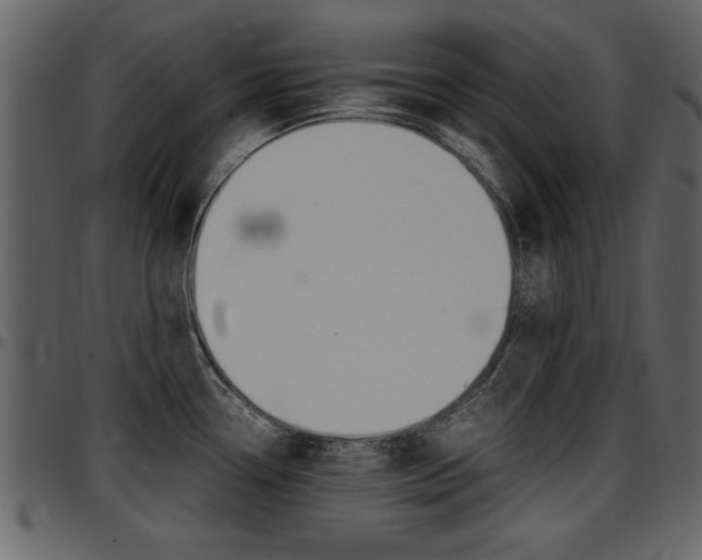 X0000097641338200802290813