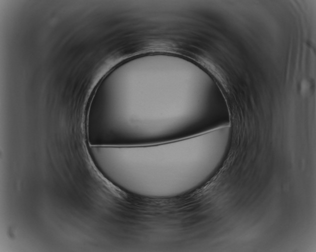 X0000097641339200802290813