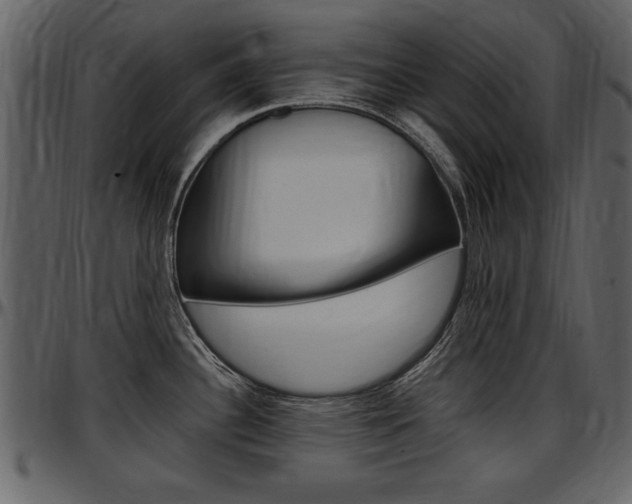 X0000097641340200802290813
