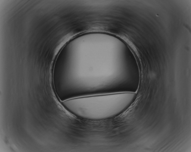 X0000097641341200802290813