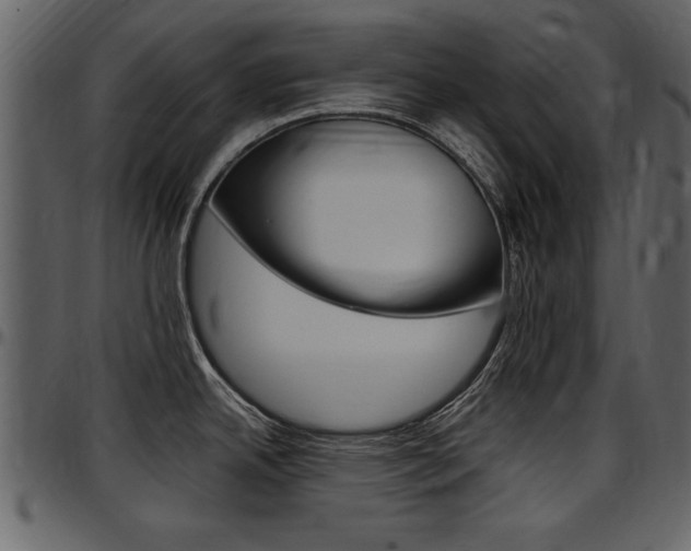 X0000097641342200802290813