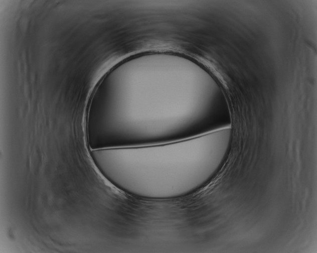 X0000097641343200802290813