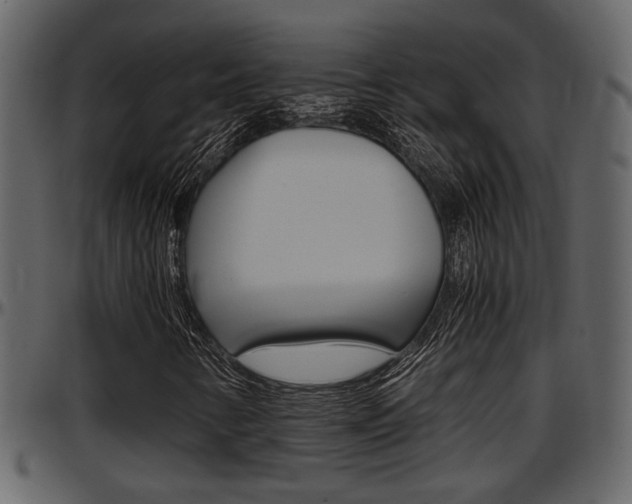 X0000097641346200802290812