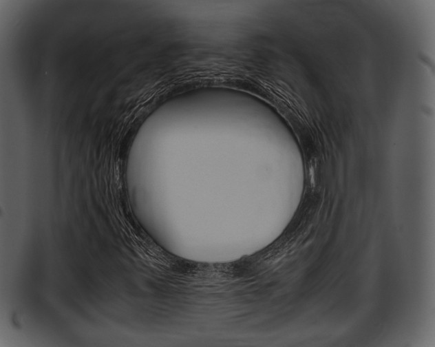 X0000097641347200802290812