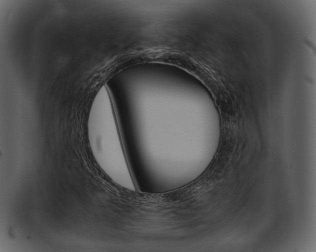 X0000097641349200802290812