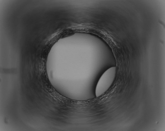 X0000097641350200802290812