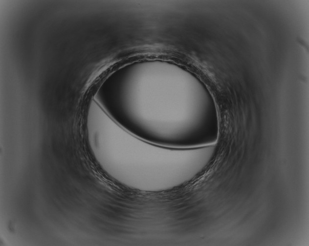 X0000097641352200802290812