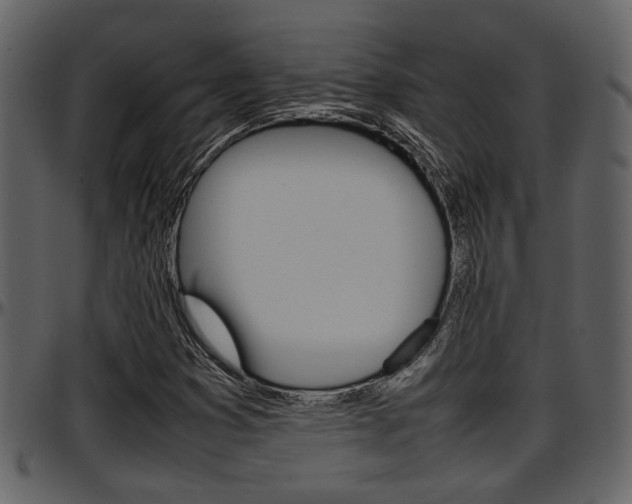 X0000097641353200802290812