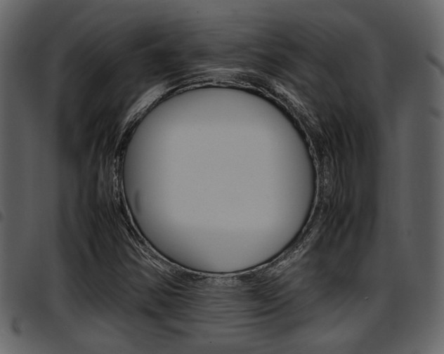 X0000097641354200802290812