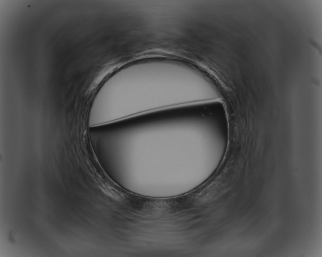 X0000097641355200802290812