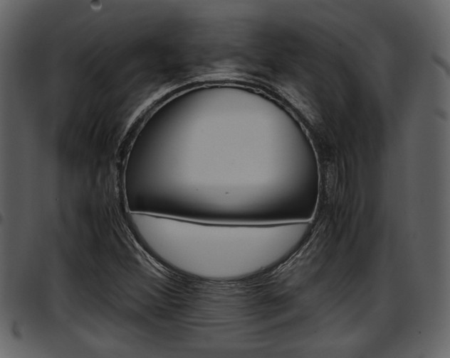 X0000097641356200802290812