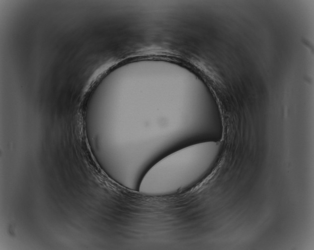 X0000097641358200802290812