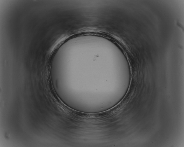 X0000097641359200802290812