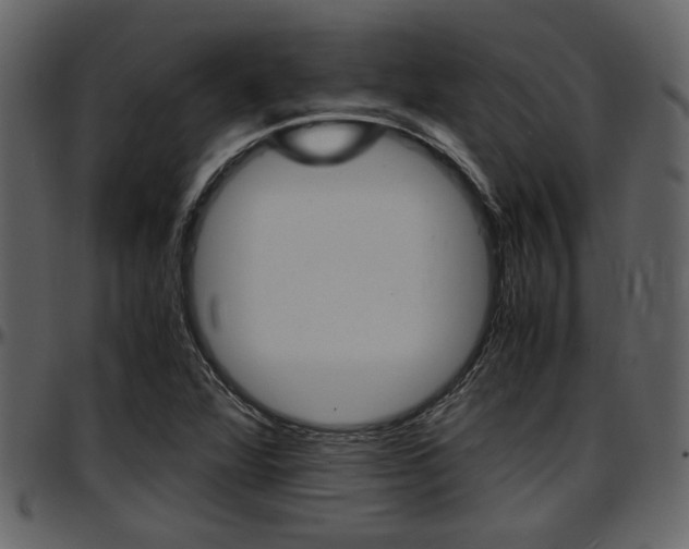 X0000097641360200802290812