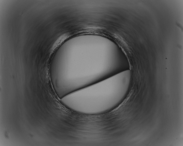 X0000097641362200802290812