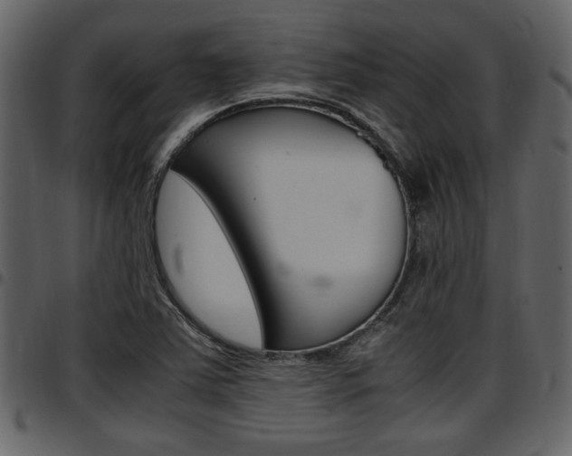 X0000097641363200802290812