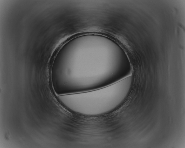 X0000097641364200802290812