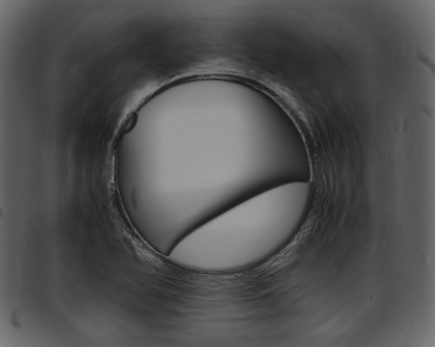 X0000097641366200802290812