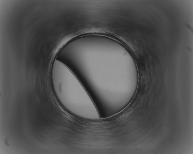 X0000097641367200802290812