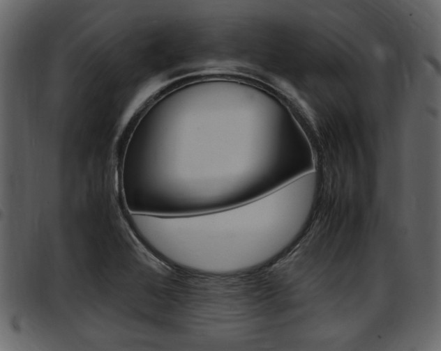 X0000097641368200802290812