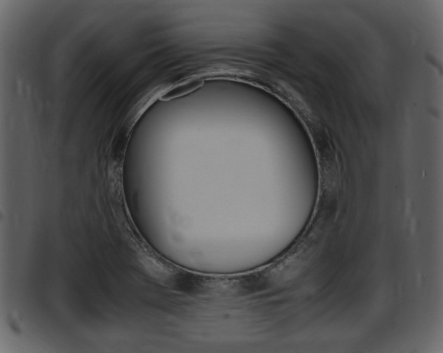 X0000097641369200802290812