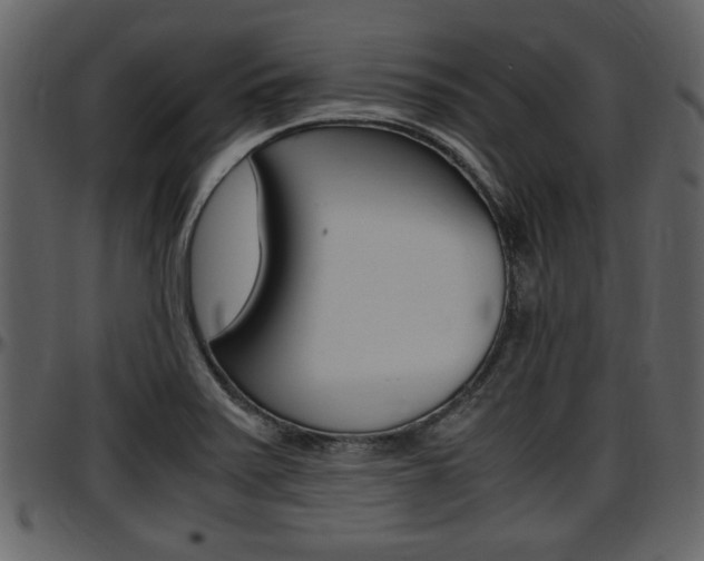 X0000097641371200802290812