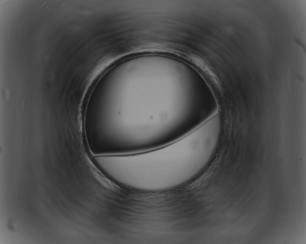 X0000097641372200802290812