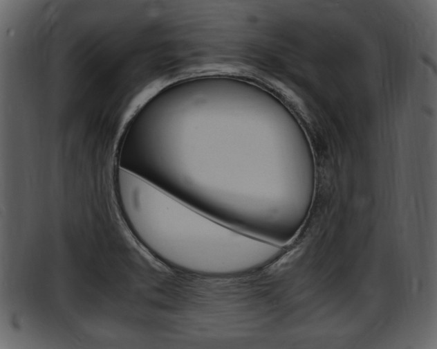 X0000097641373200802290812