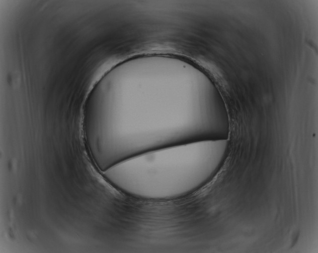 X0000097641374200802290812