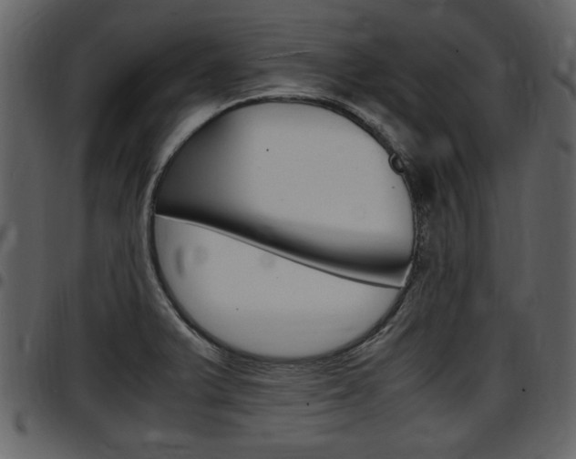 X0000097641375200802290812