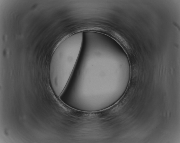 X0000097641377200802290812