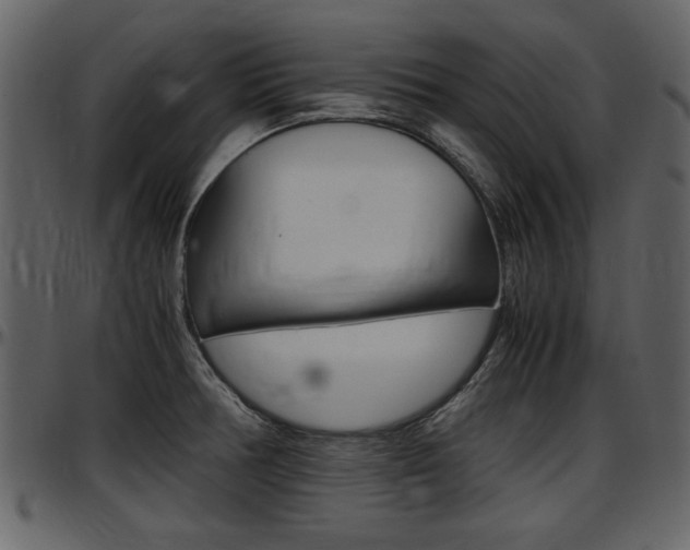 X0000097641378200802290812