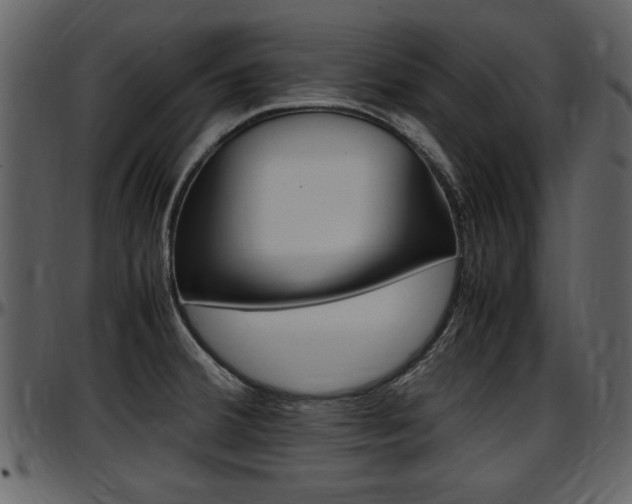 X0000097641380200802290811