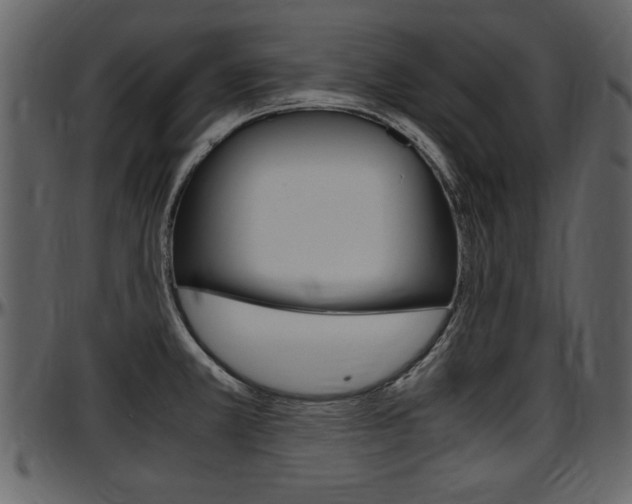X0000097641381200802290811