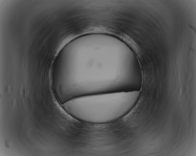 X0000097641382200802290811
