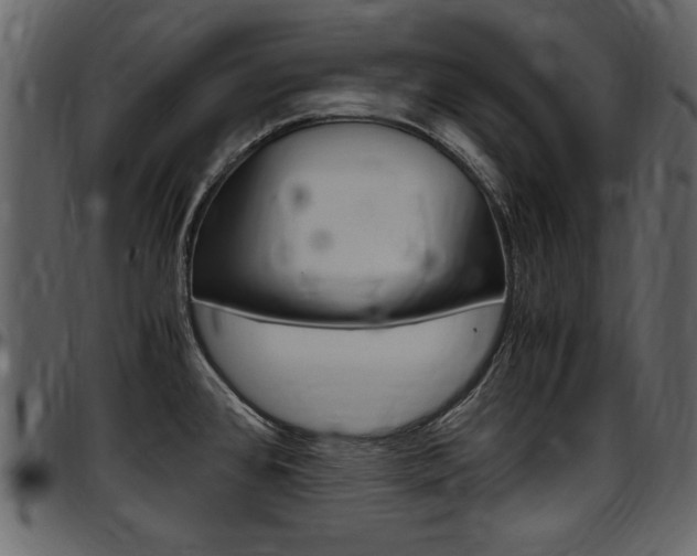 X0000097641384200802290811