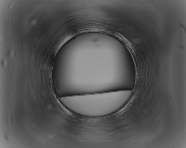 X0000097641385200802290811
