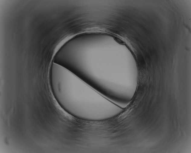 X0000097641387200802290811