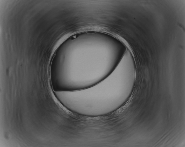 X0000097641389200802290811