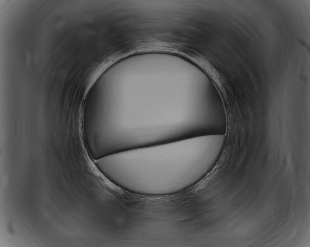 X0000097641390200802290811