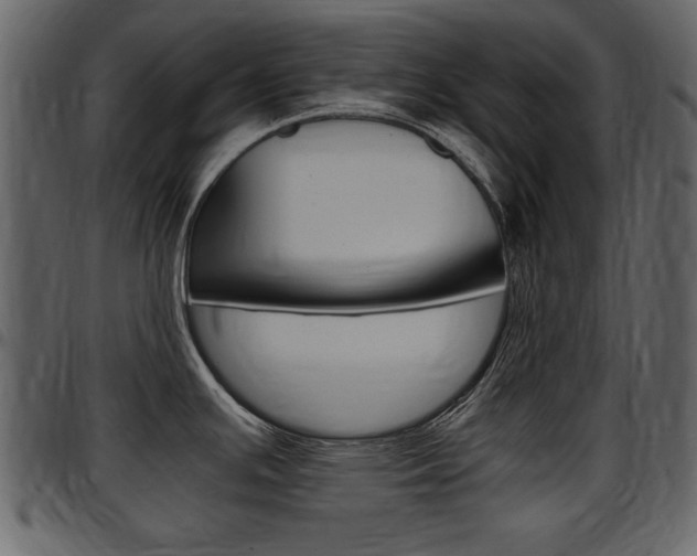 X0000097641391200802290811