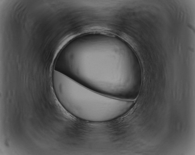 X0000097641392200802290811