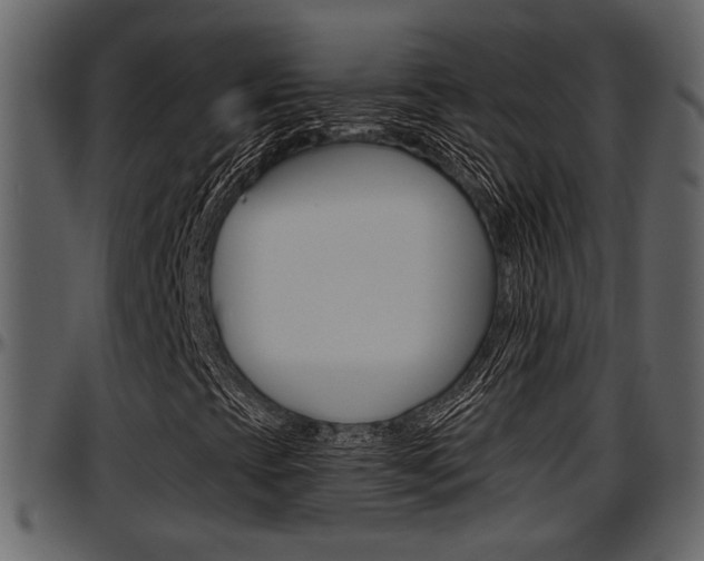 X0000097641393200802290811