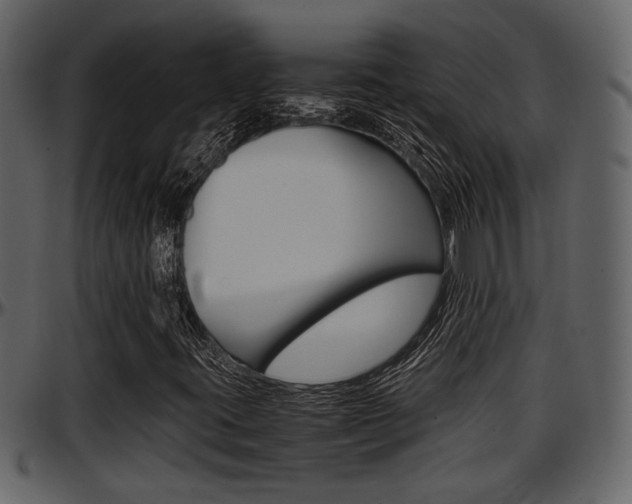 X0000097641395200802290811