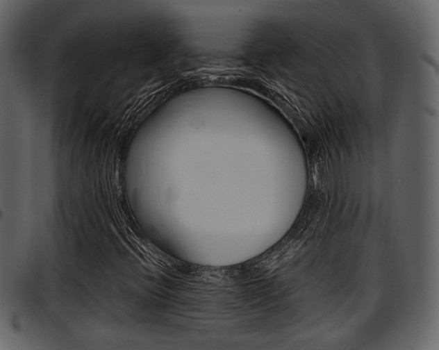 X0000097641396200802290811
