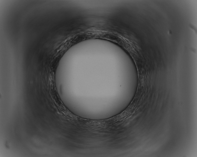 X0000097641397200802290811