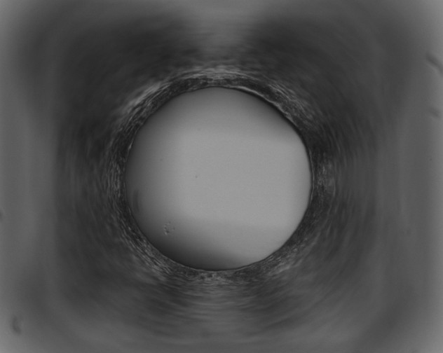 X0000097641398200802290811